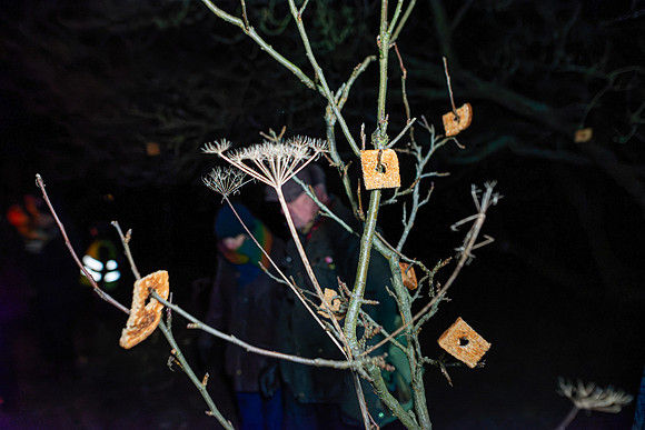 wassail2024-110
