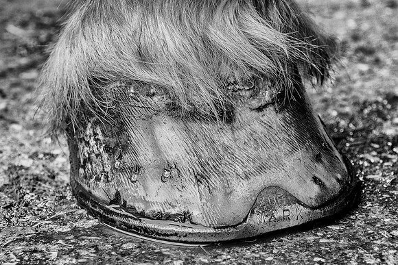 DSC_9791-Edit