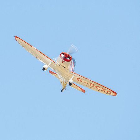 Cap10_social_0266